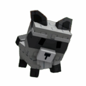 Raccoon